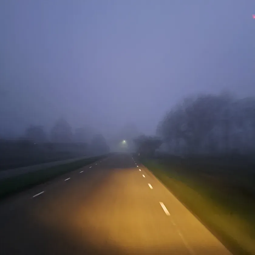 Misty morning