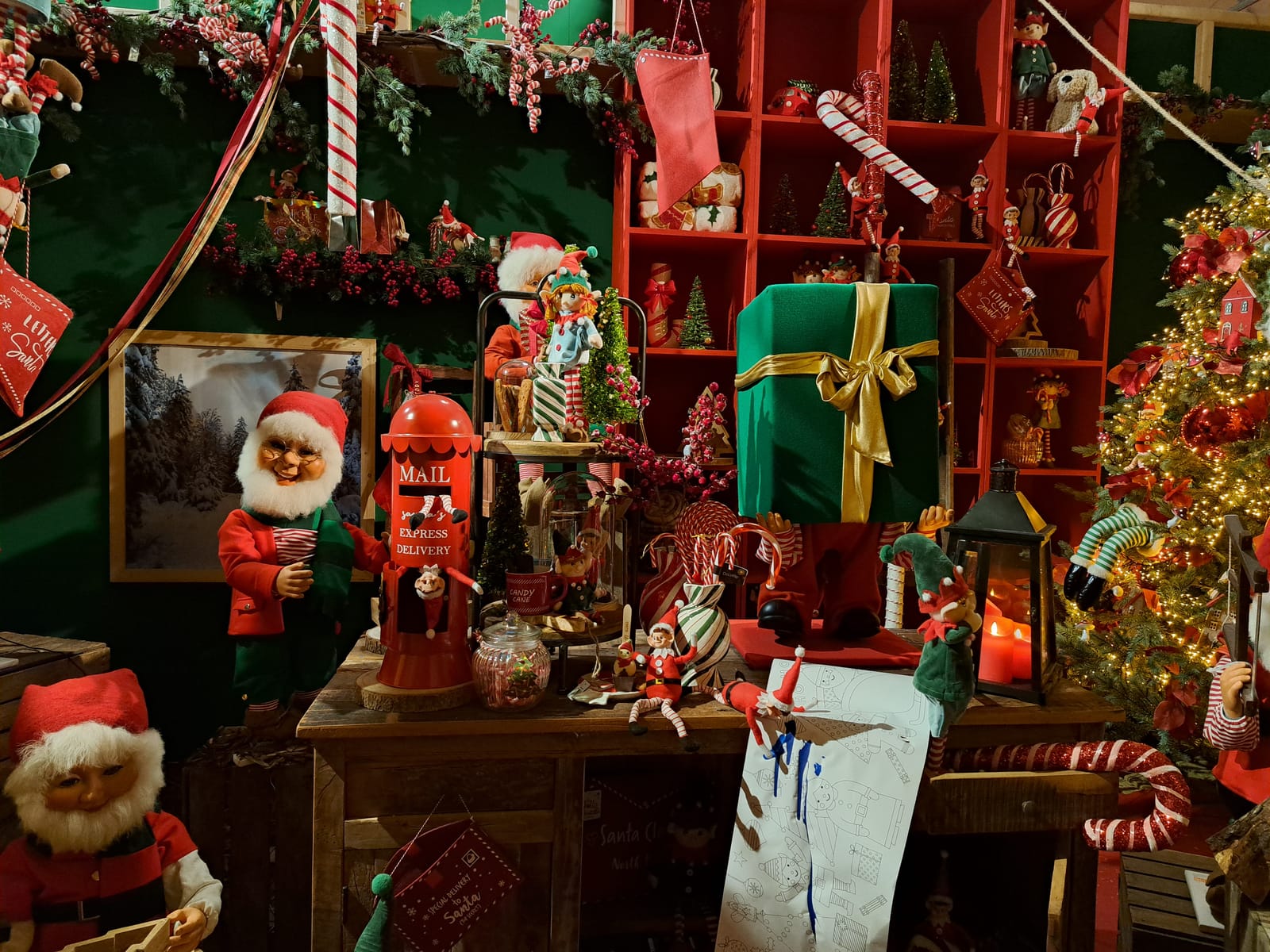 We have a Christmas show winner... (gallery)