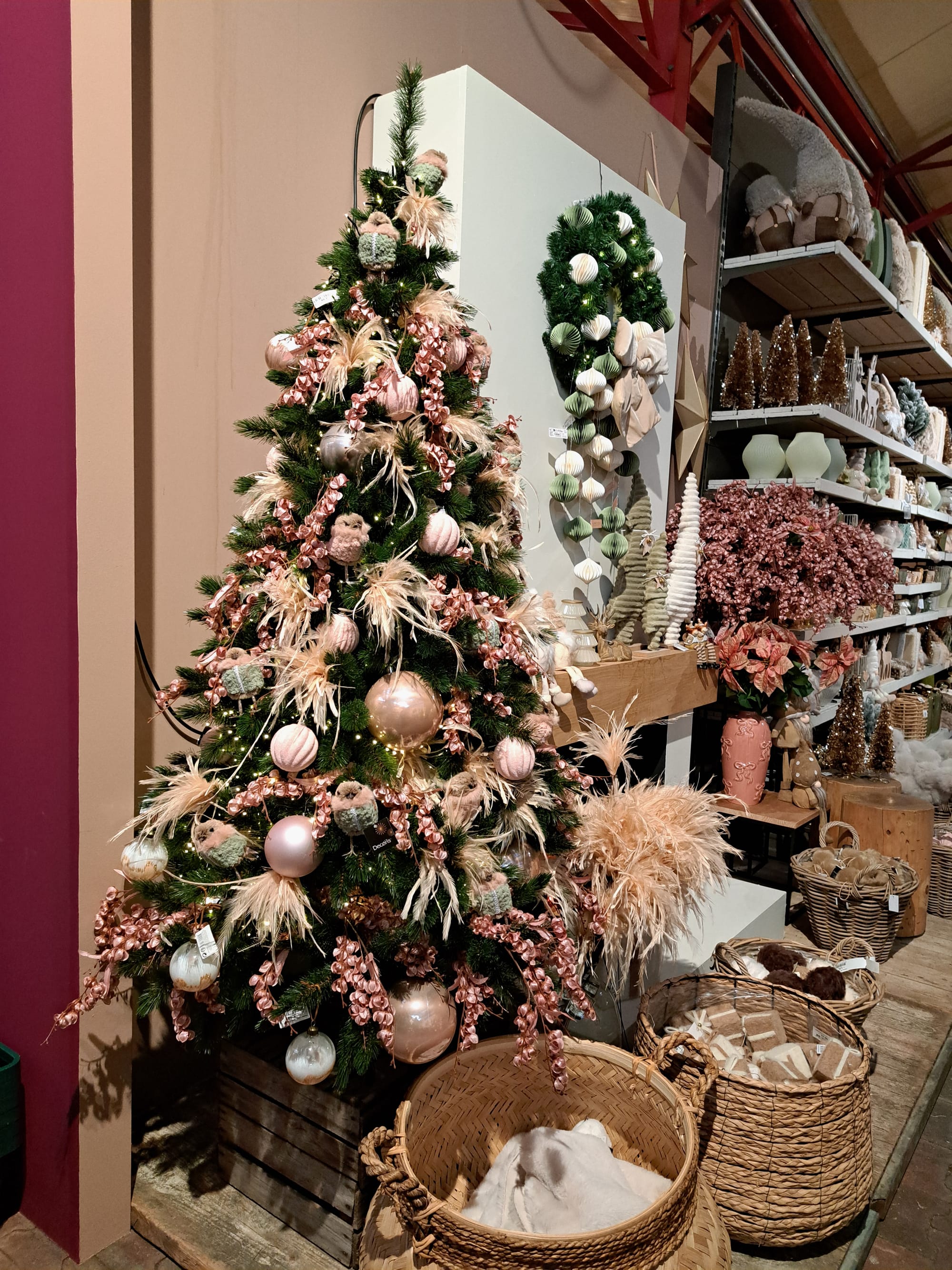 We have a Christmas show winner... (gallery)