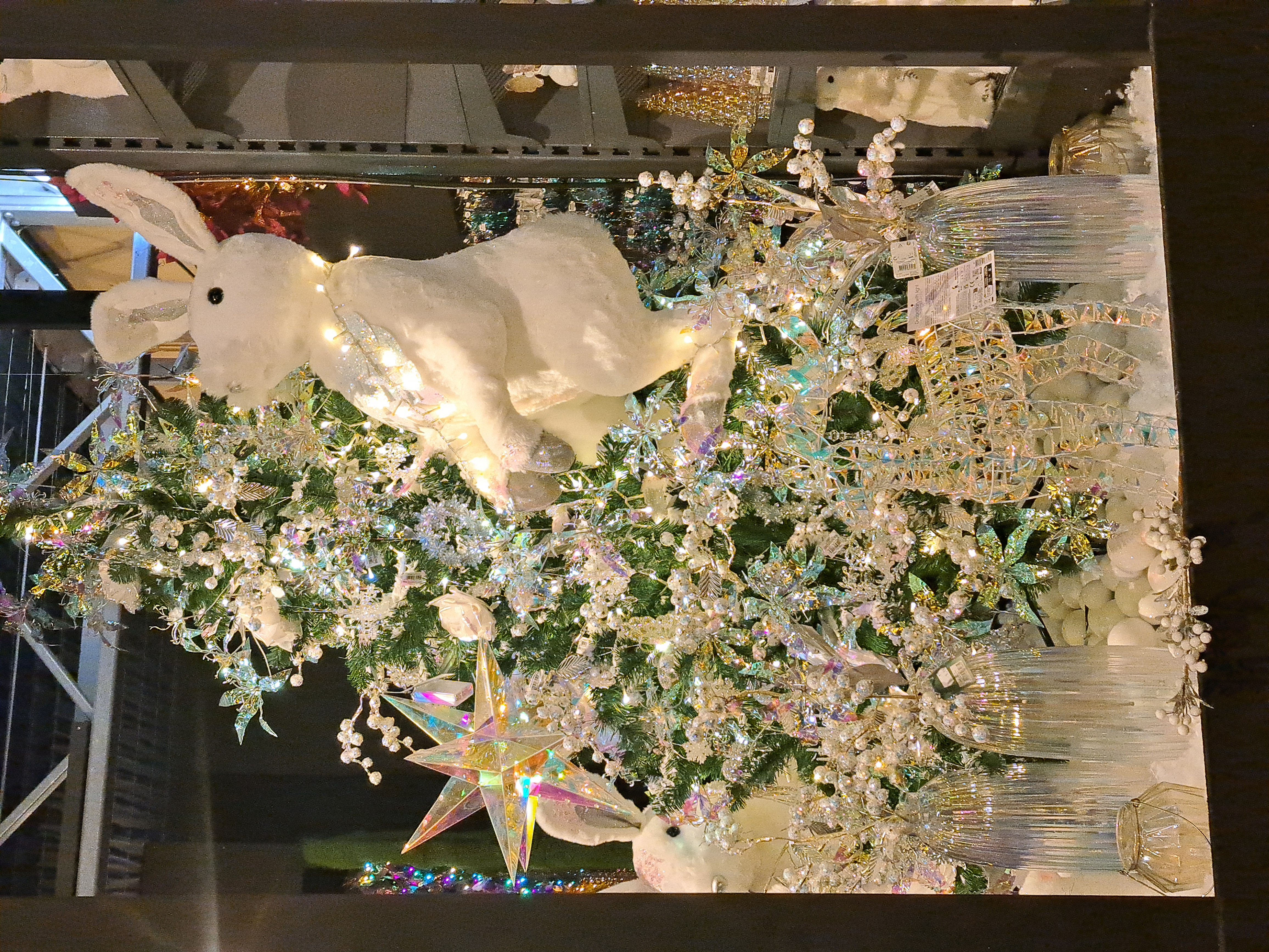 Christmas trauma... (gallery)