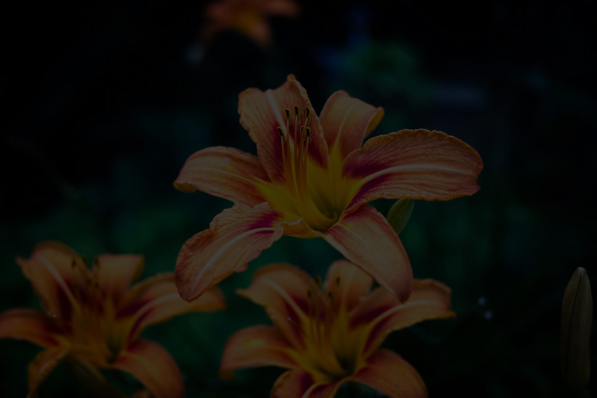 And just like that...