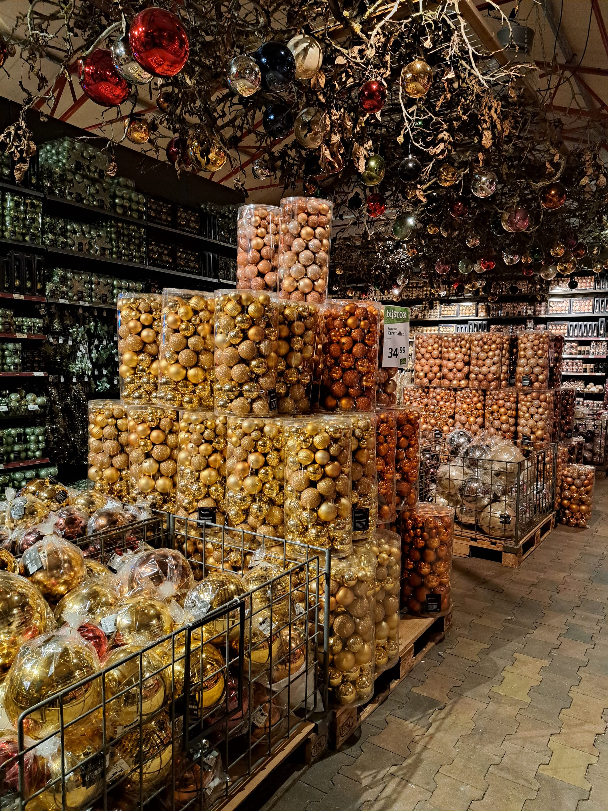 We have a Christmas show winner... (gallery)