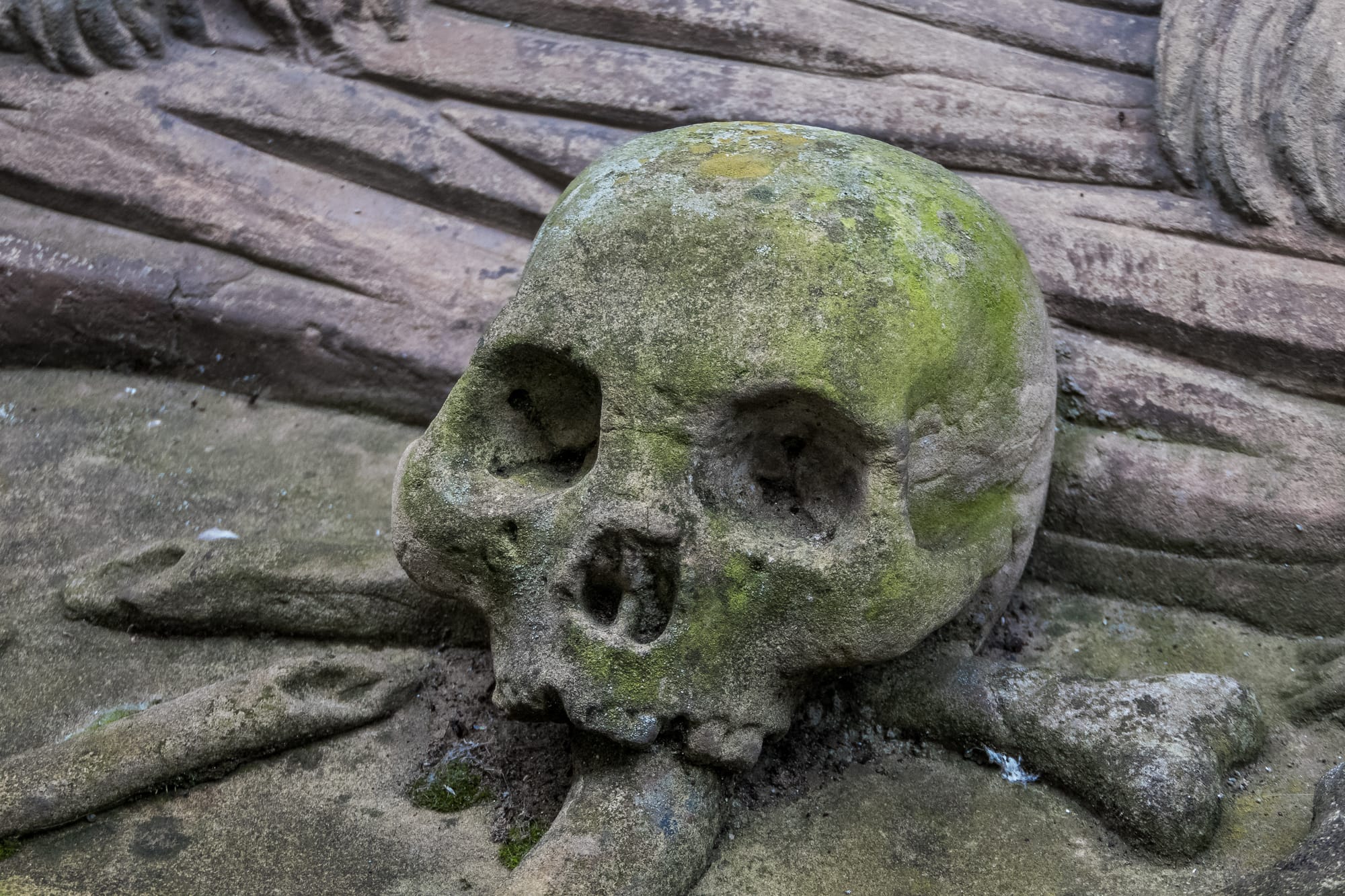 human skull in stone