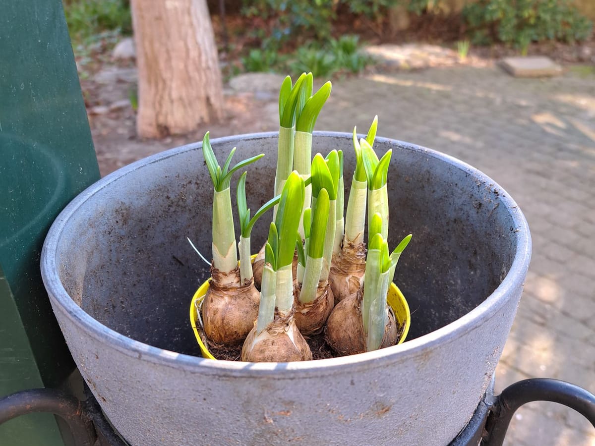 Good morning sunshine