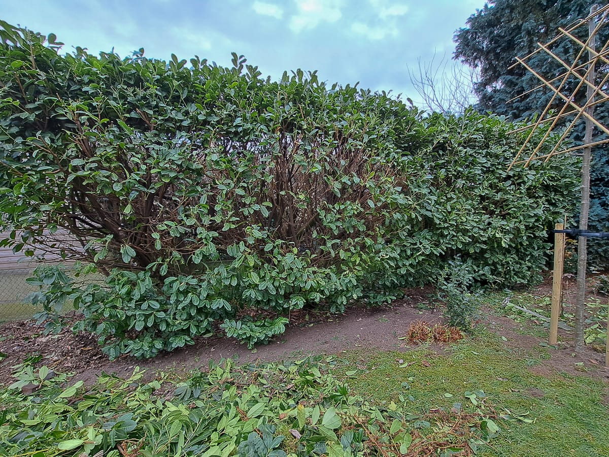 Good karma helping others..