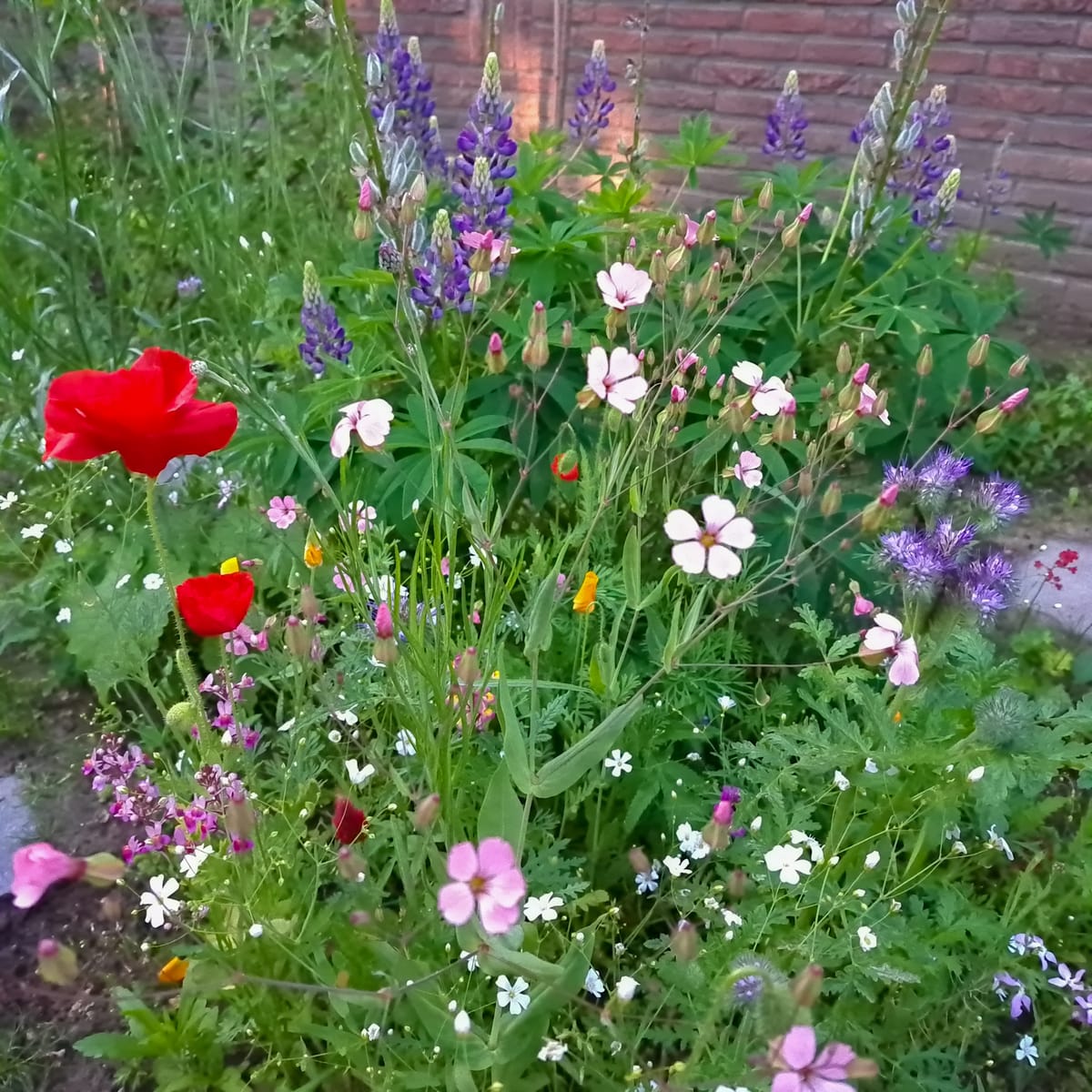 From Abercrombie & Fitch to sudden death..