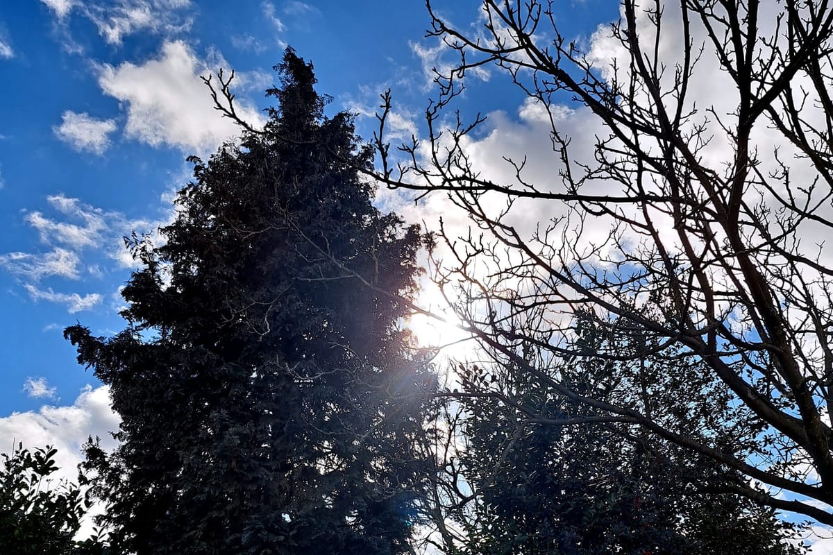 Today I saved my husbands life..