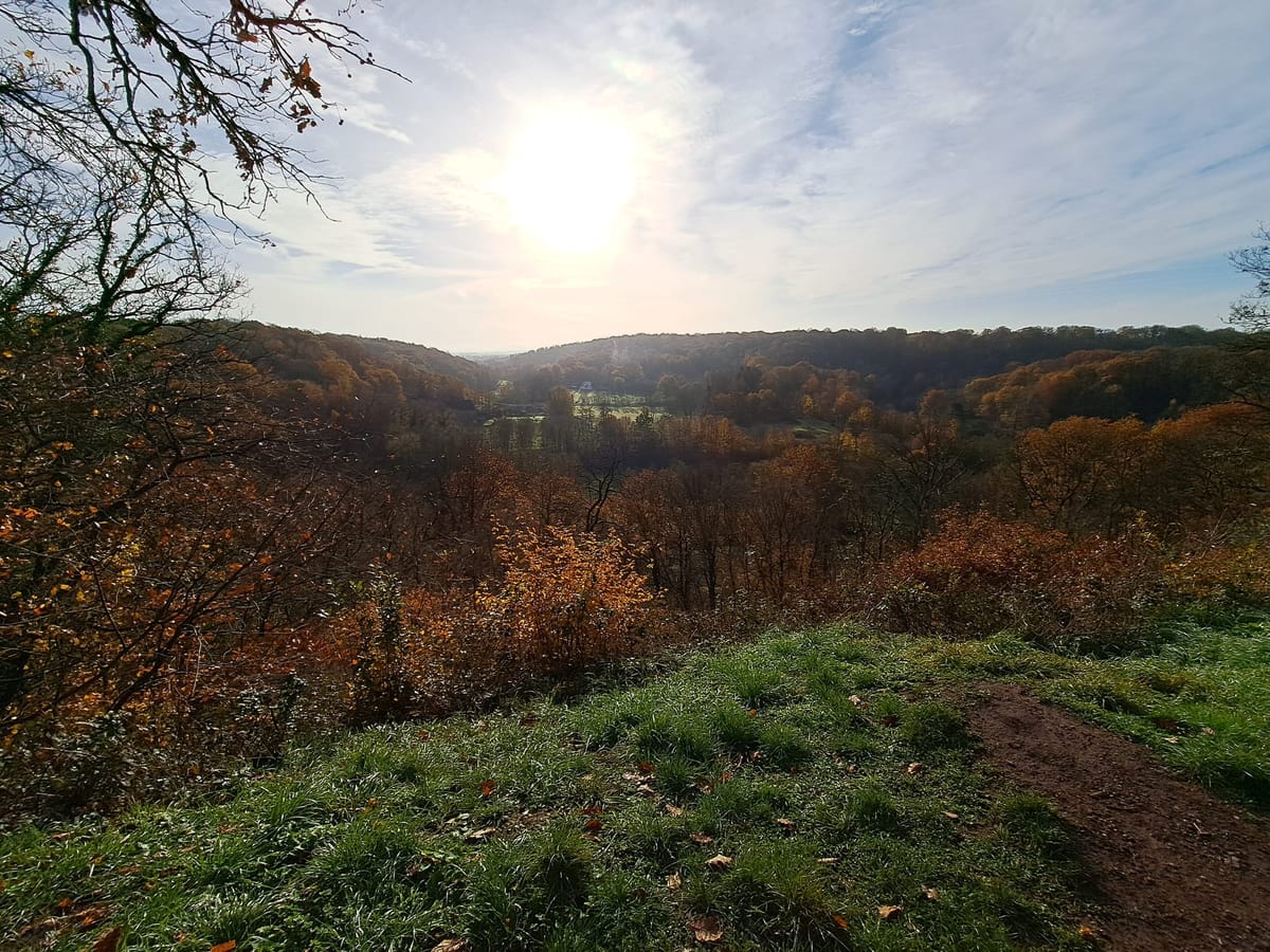 New year, new goals..