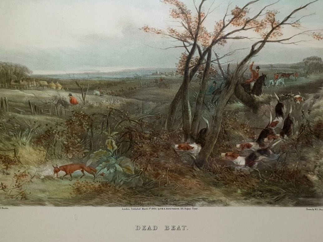 The vintage furniture hunt..