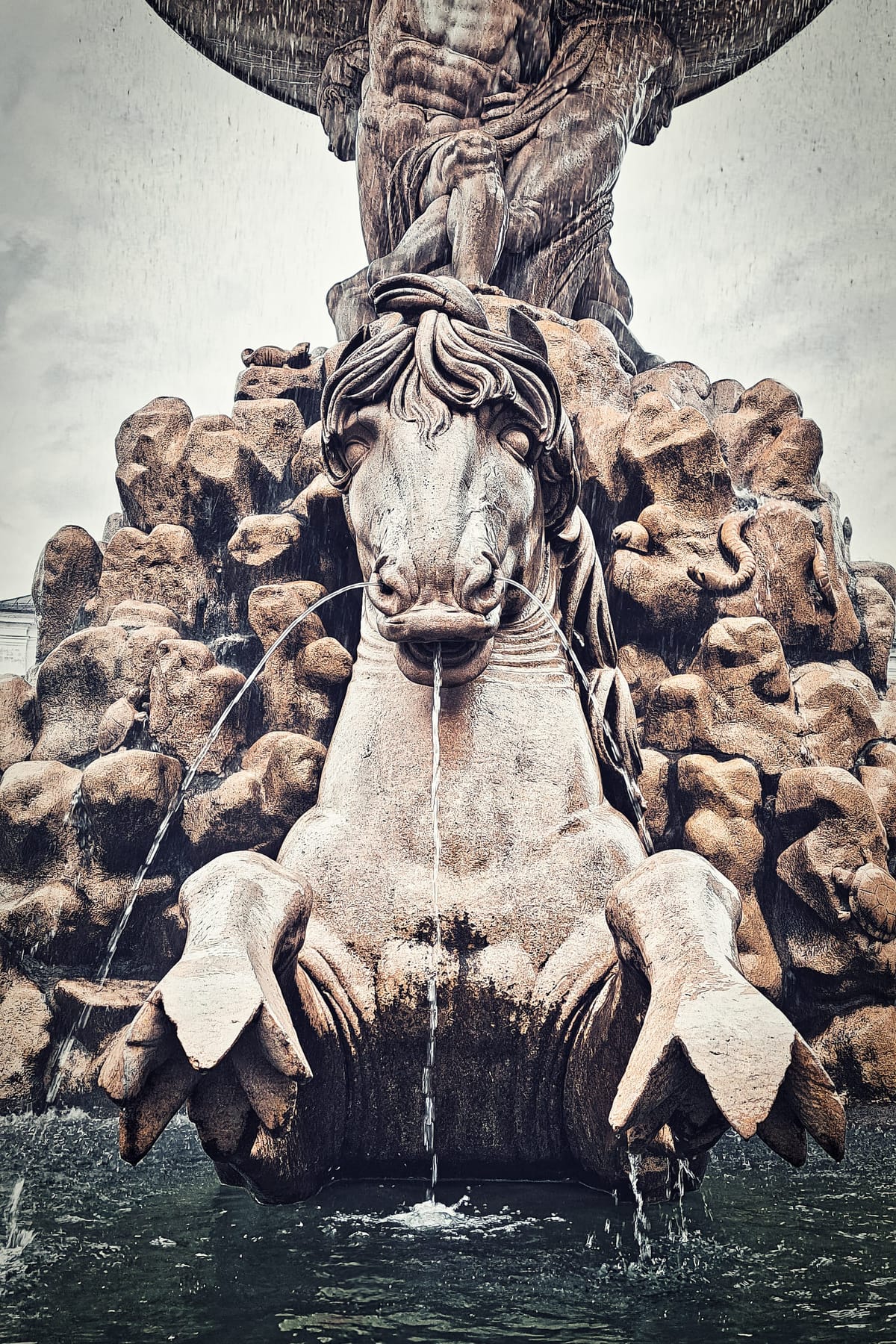 Wild horse in Salzburg