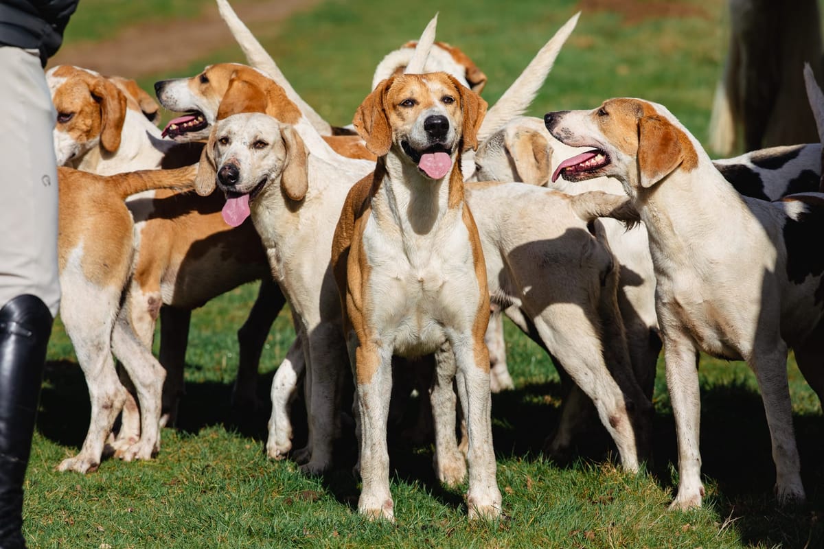 New day, new beginnings..