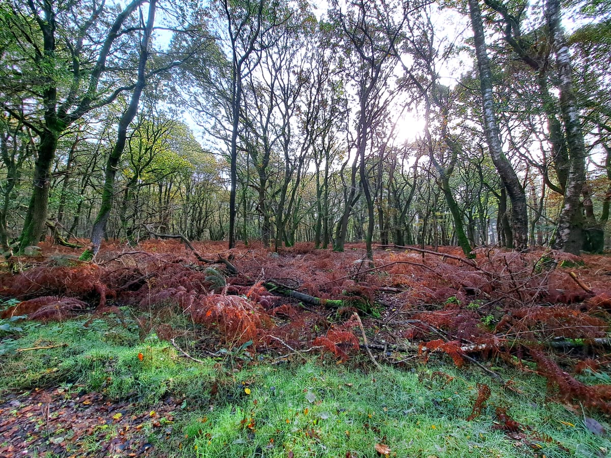 Great weekend in good company..