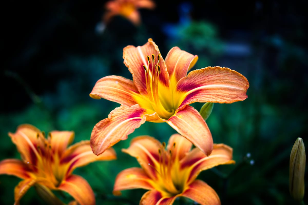 There's a certain kind of people...