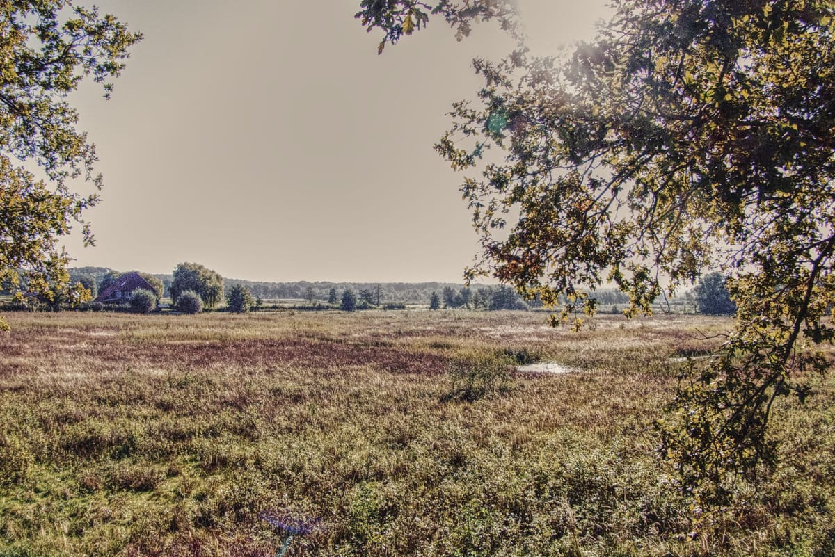 Aiming for the Olympics..