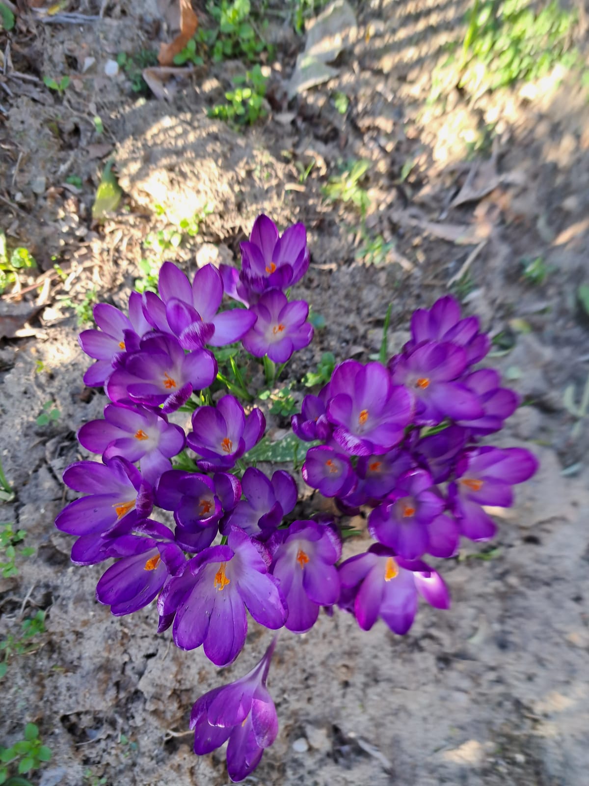 A plague on you, you leaking pipe..