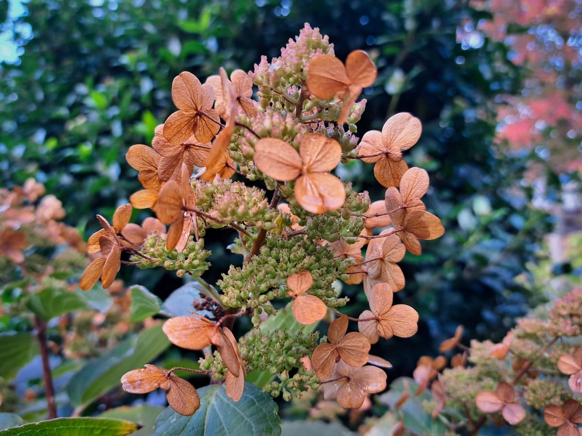 And just like that...