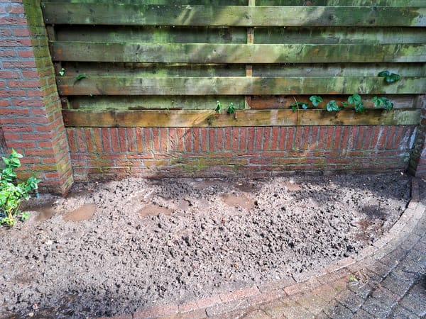 Die ground elder, die..