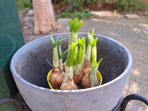 Good morning sunshine