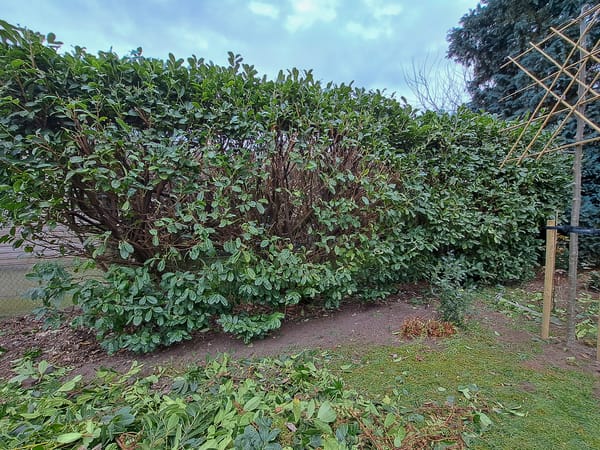 Good karma helping others..