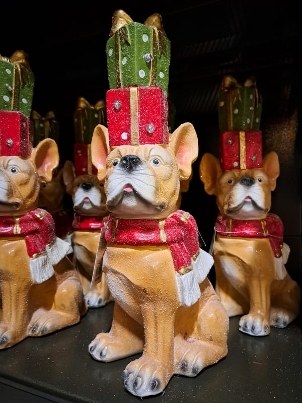 Dog in christmas attire