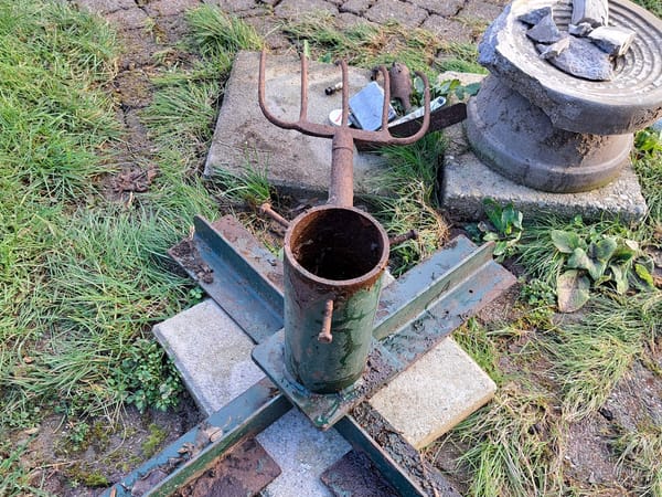 Things I find in the garden..