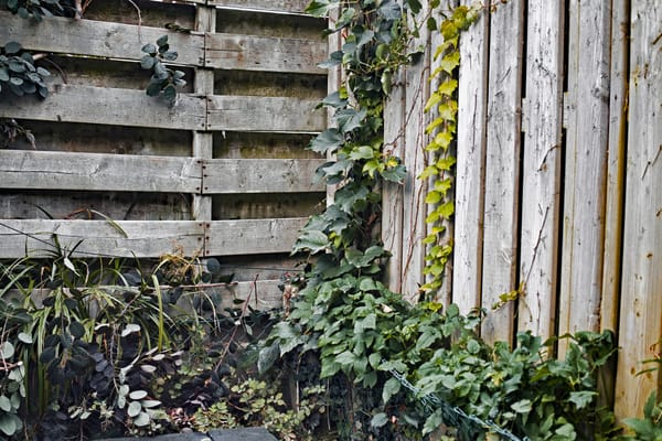 Every house and garden has them...