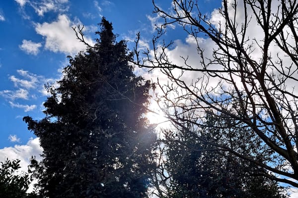 Today I saved my husbands life..