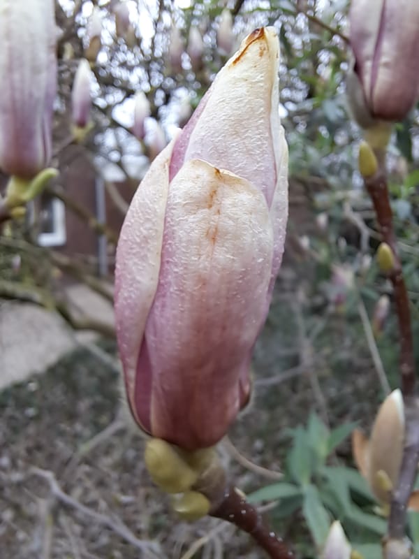 👉🏻 All clear to go the gym..