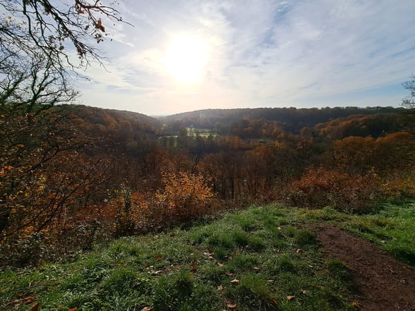 New year, new goals..