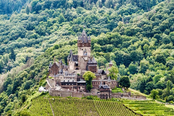 Dear Mr. President, my family research has gone bananas...