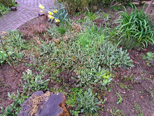 Everything looks the same..