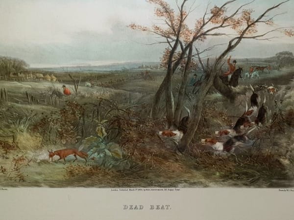 The vintage furniture hunt..