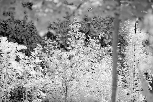 Finding my way back...