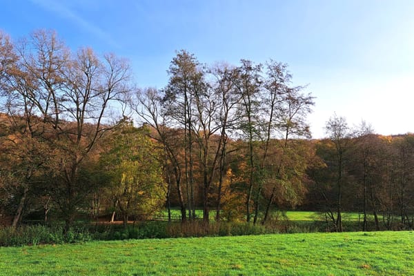 Patience is a virtue I don't possess...