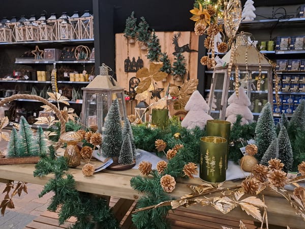 We have a Christmas show winner... (gallery)