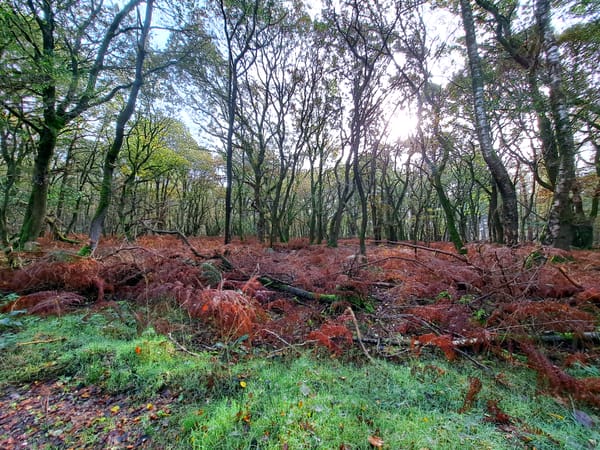 Great weekend in good company..