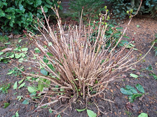 Lack of confidence holds me down..