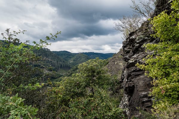 Am I really cut out for this...