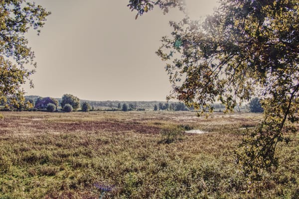 Aiming for the Olympics..