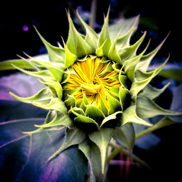 8 minutes of my life gone and waisted..