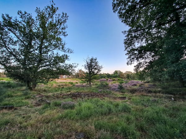 Living on the edge..