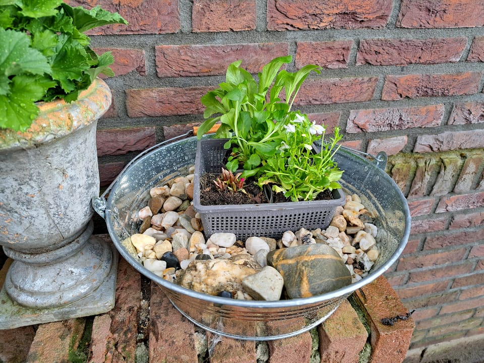 Having a pond..